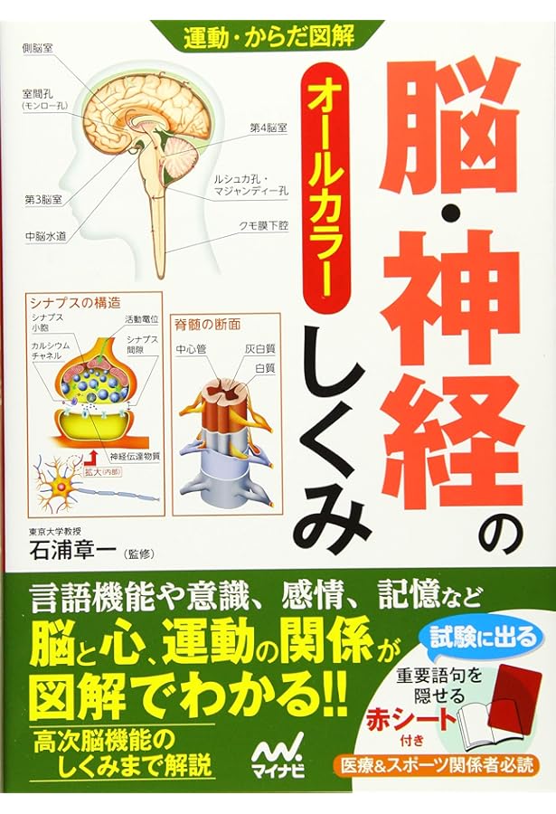 運動・からだ図解 脳・神経のしくみ 新版 | 石浦章一 |本 | 通販 | Amazon